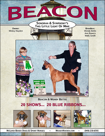 Sonoran and Symphony's This Little Ligh of Mine - Beacon AKC Boxer Trophies