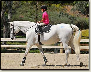 Horseback Riding Lessons Nellie Gail, Orange County California, Hayden Riding School
