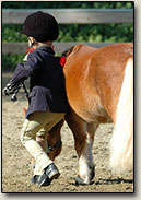 Beginner Horseback Riding Lessons Orange County California, Nellie Gail