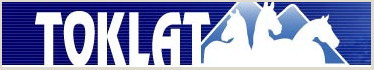 Toklat Logo